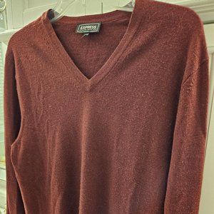 Express Mens Extra Fine Merino Wool V-Neck Sweater, Size M
